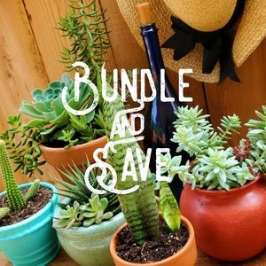 Bundle and SAVE!! ♥️🌵🌻